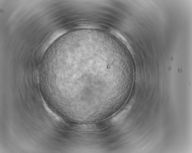 X0000088211433200706051246