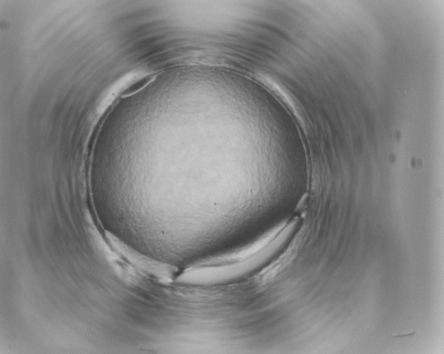 X0000088211434200706051246