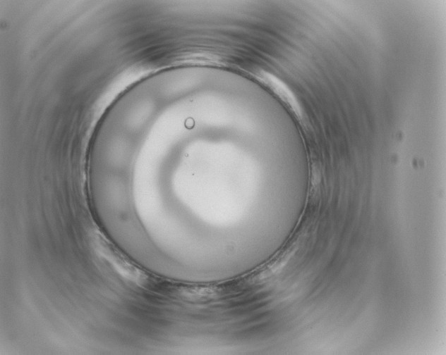 X0000088211435200706051246