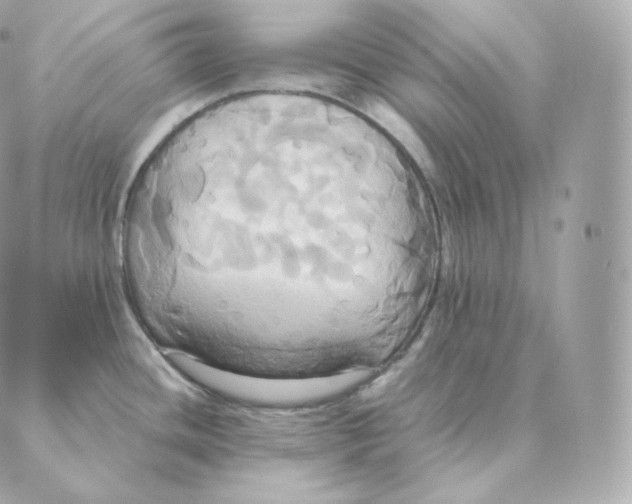 X0000088211436200706051246