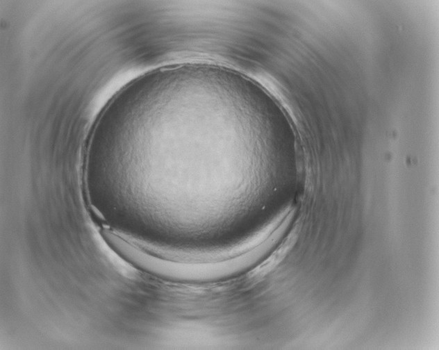 X0000088211438200706051246