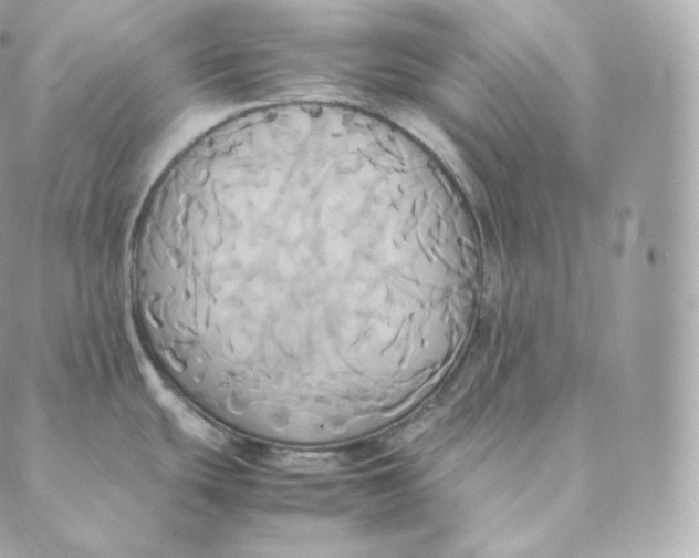 X0000088211439200706051246