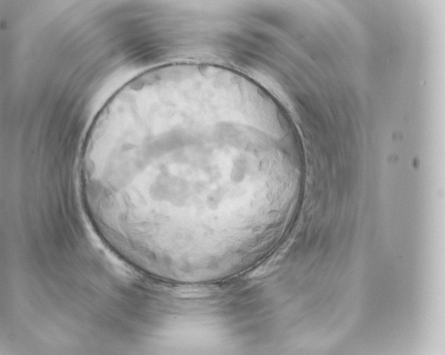 X0000088211440200706051246