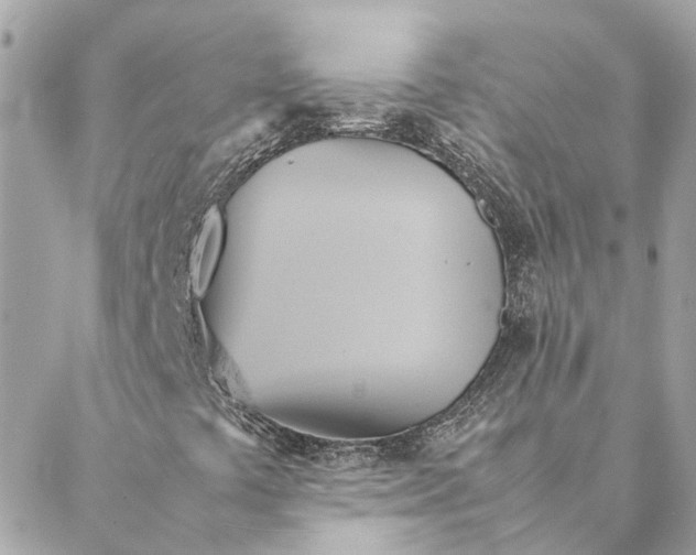 X0000088211441200706051245