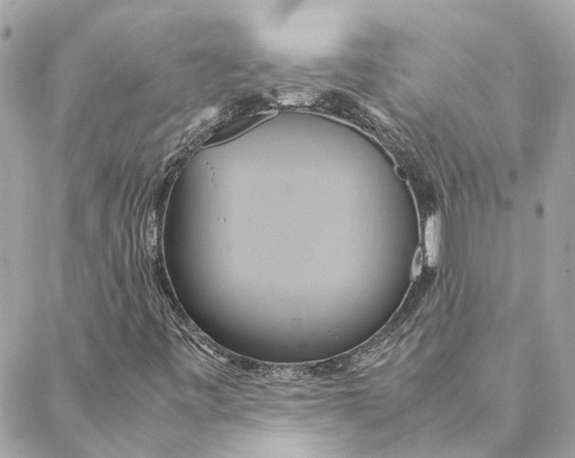 X0000088211443200706051245