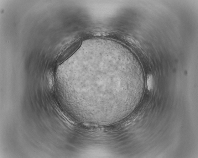 X0000088211444200706051245