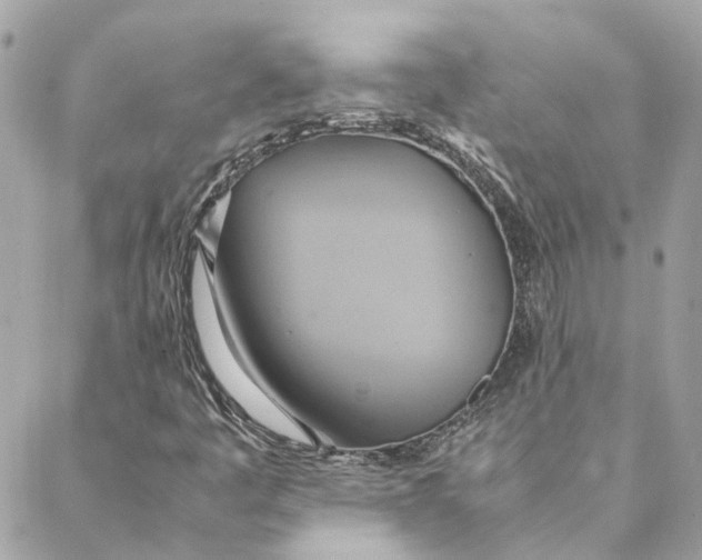 X0000088211445200706051245