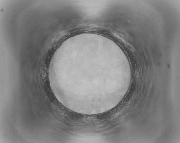 X0000088211447200706051245