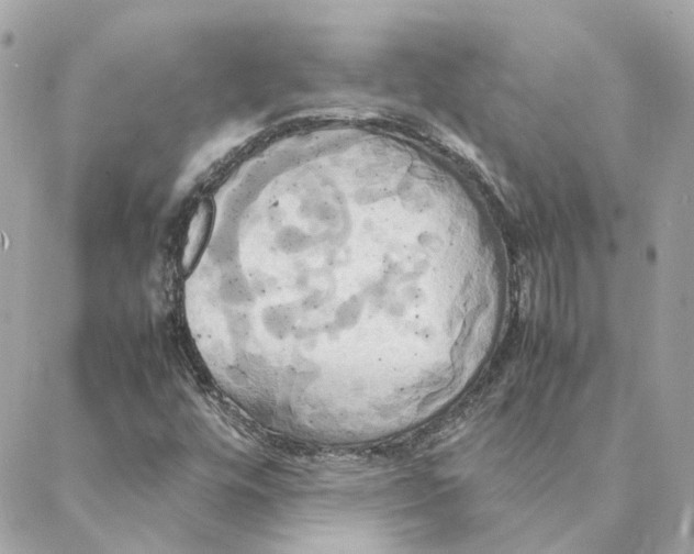 X0000088211448200706051245