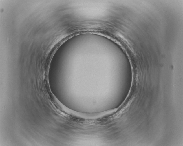 X0000088211449200706051245