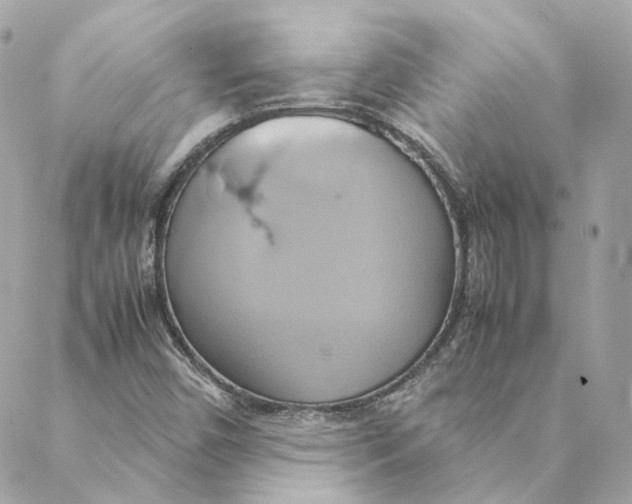 X0000088211450200706051245