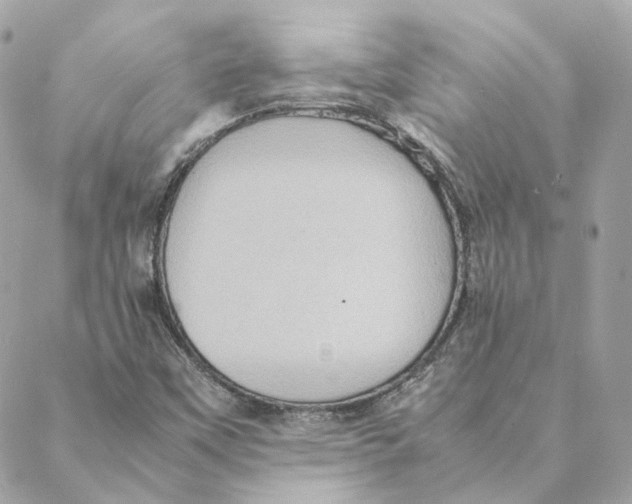 X0000088211451200706051245