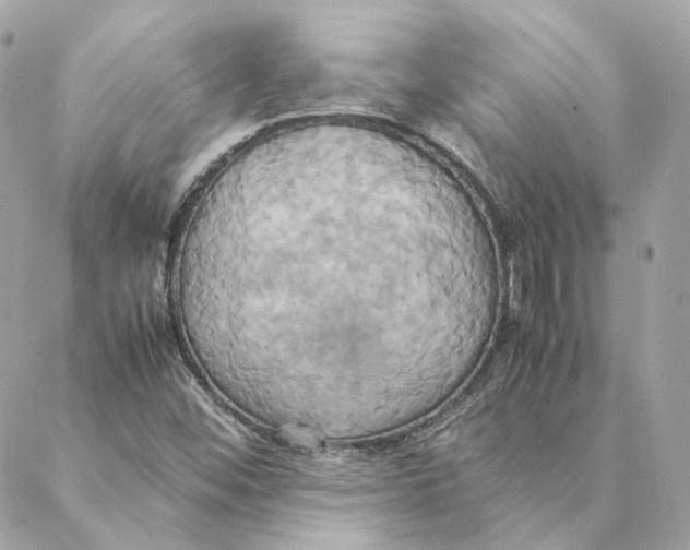 X0000088211452200706051245