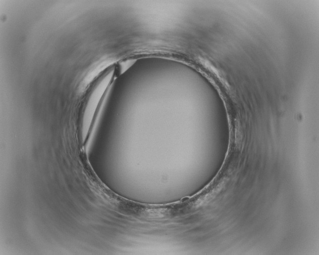 X0000088211453200706051245