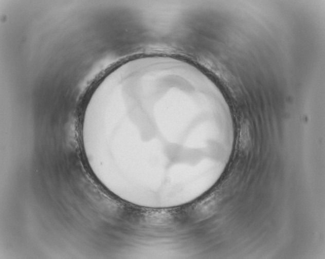 X0000088211454200706051245