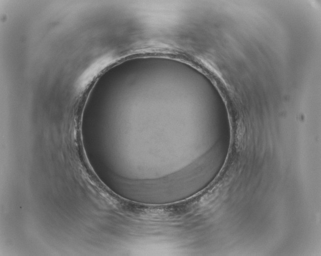 X0000088211455200706051245