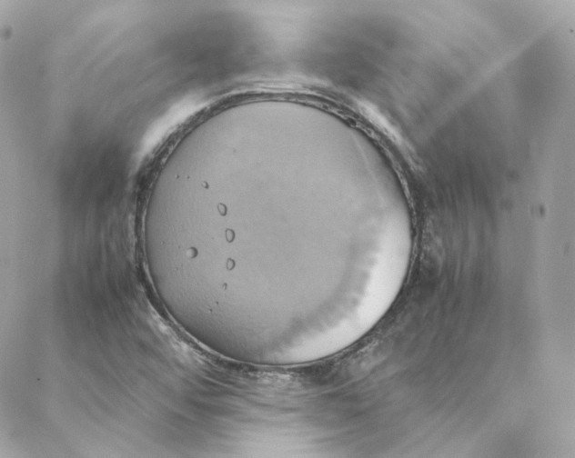 X0000088211456200706051245