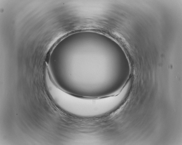 X0000088211457200706051245