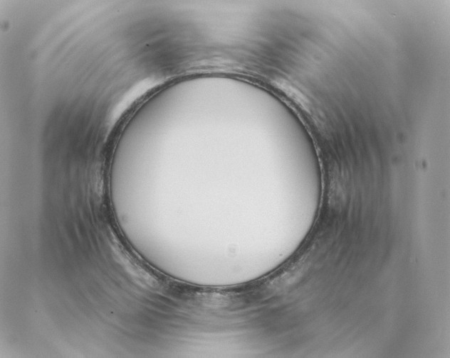 X0000088211458200706051245