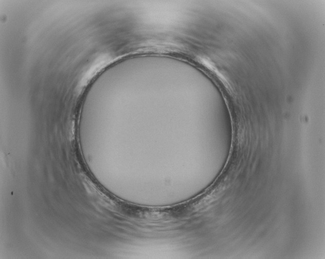 X0000088211459200706051245