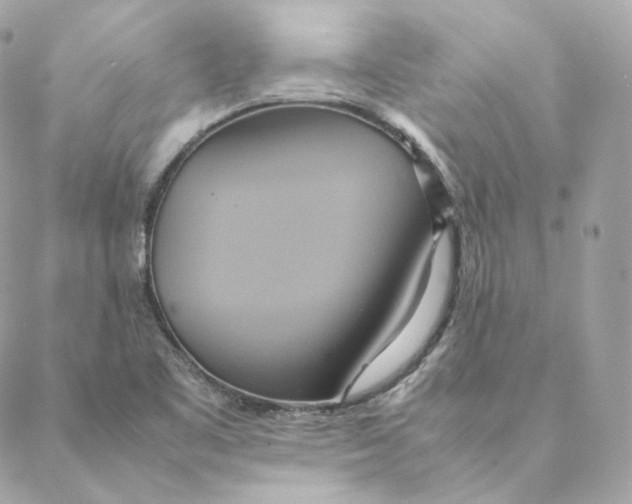 X0000088211461200706051245