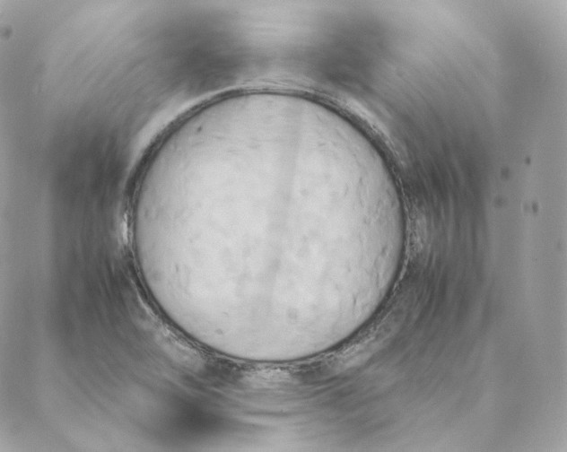 X0000088211462200706051245