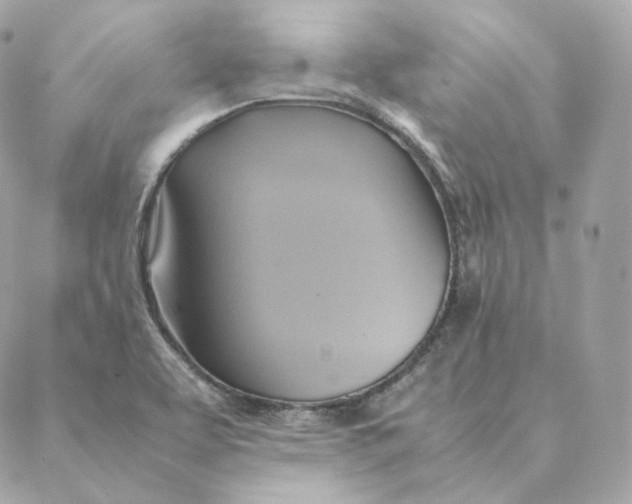 X0000088211463200706051245