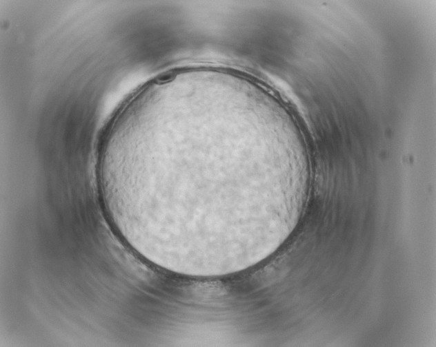 X0000088211464200706051245