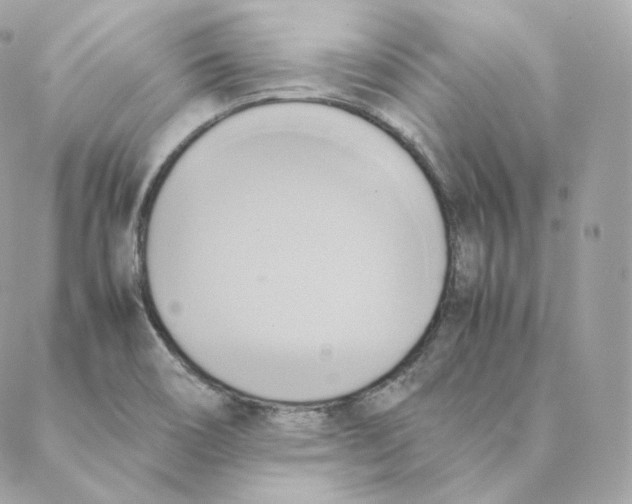 X0000088211466200706051245