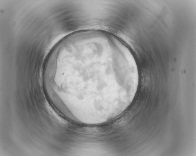 X0000088211468200706051245