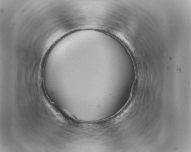 X0000088211469200706051244