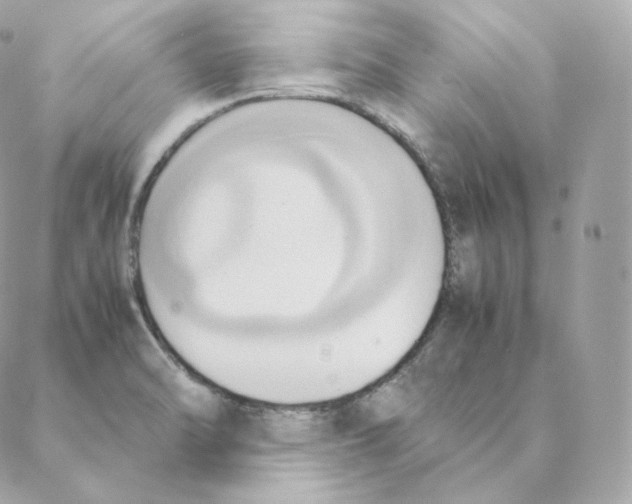 X0000088211470200706051244