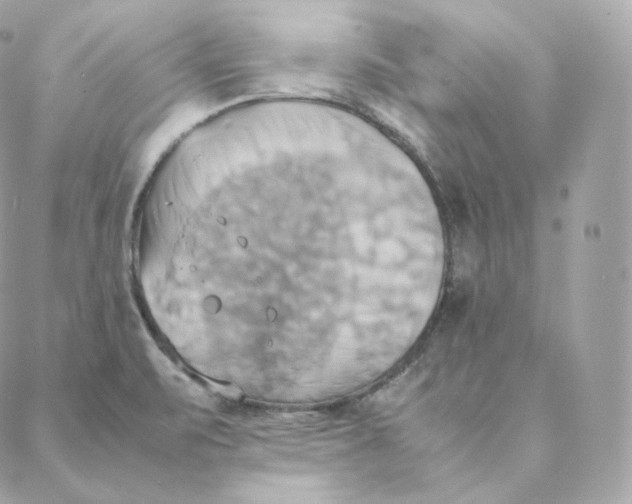 X0000088211471200706051244