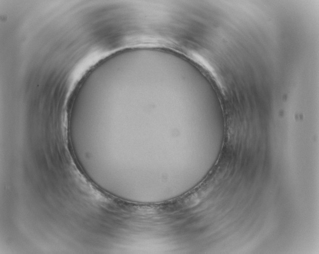 X0000088211472200706051244