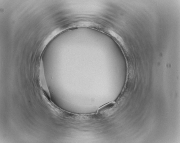 X0000088211473200706051244