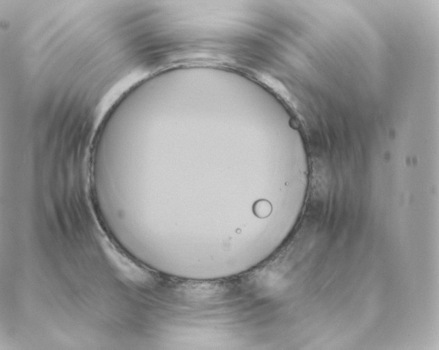 X0000088211474200706051244