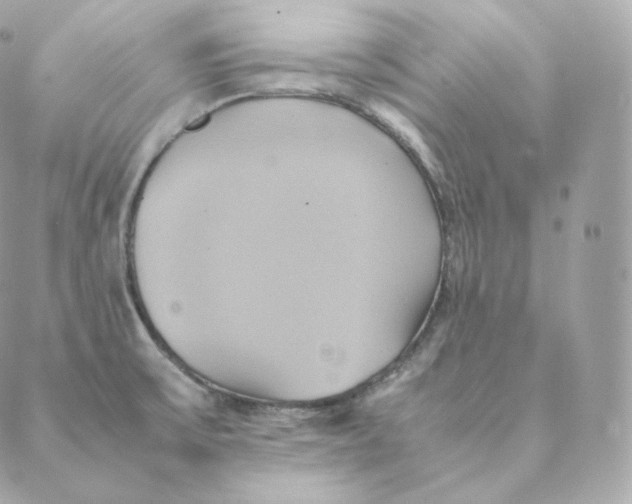 X0000088211475200706051244