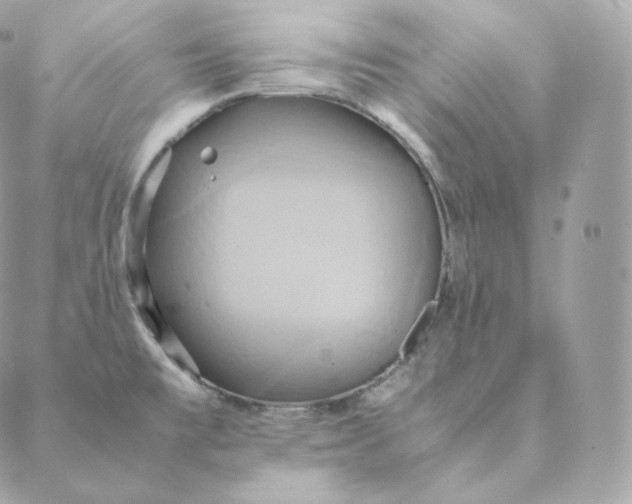 X0000088211477200706051244