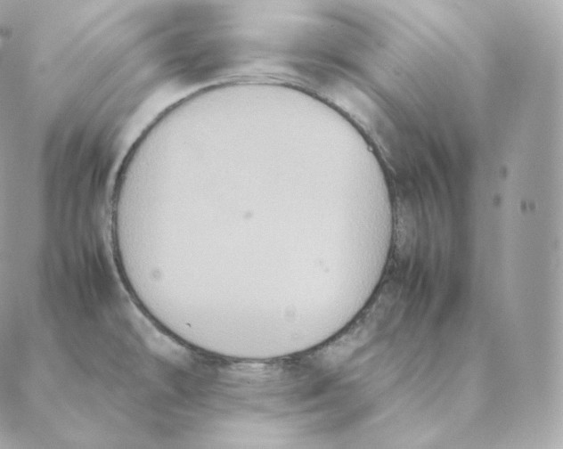 X0000088211478200706051244