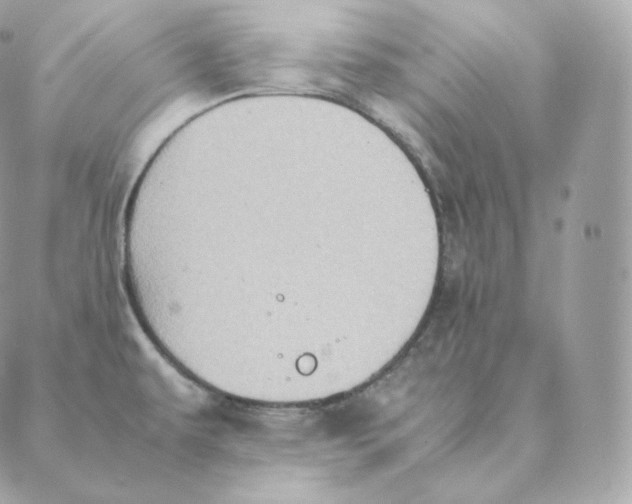 X0000088211479200706051244