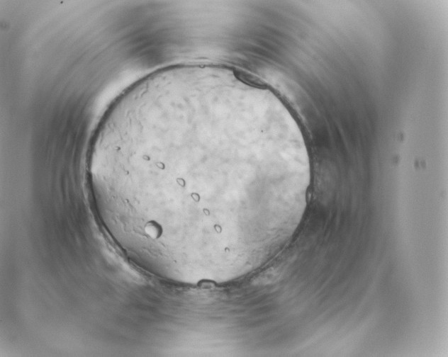 X0000088211480200706051244