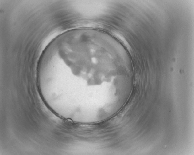 X0000088211483200706051244