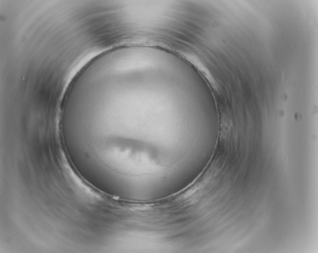 X0000088211484200706051244