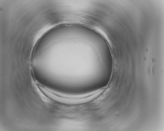 X0000088211485200706051244