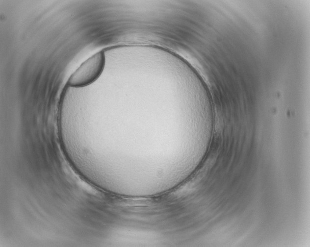 X0000088211486200706051244