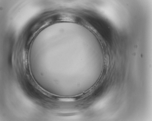 X0000088211487200706051244