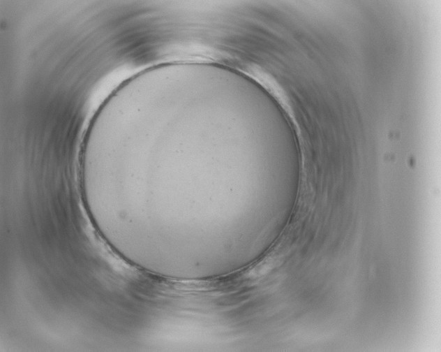 X0000088211488200706051244