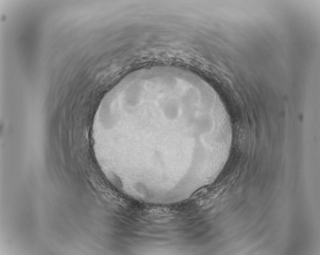 X0000088211489200706051243