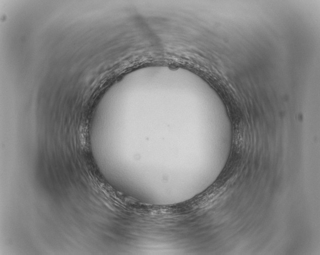 X0000088211490200706051243