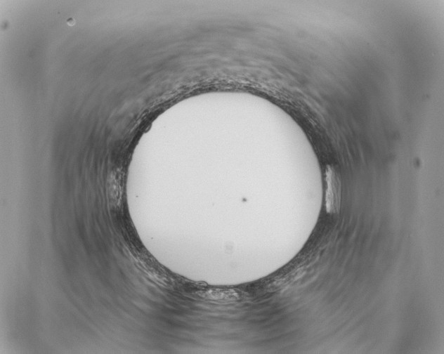 X0000088211491200706051243